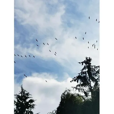 Bloomenhof *
